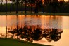 2022 Augusta National Women's Amateur