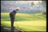 Greg Norman