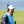 43rd Ryder Cup
