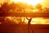 2022 Mexico Open at Vidanta