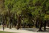 2022 RBC Heritage