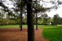 2022 Masters Tournament