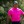2022 Masters