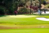 2022 Masters