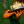 2022 Masters