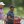 2022 PGA Championship