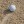 Bunkers at Southern Hills