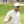 2022 U.S. Open