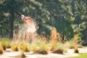 2022 U.S. Women's Open