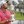 PGA: U.S. Open - Final Round