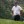 2022 U.S. Open