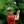 2022 U.S. Senior Open