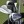 Dustin Johnson's TaylorMade equipment