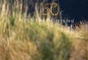 2022 Open Championship