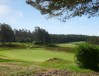 Swinley Forest