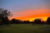 Overton Park 9