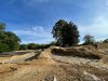 Overton Park 9