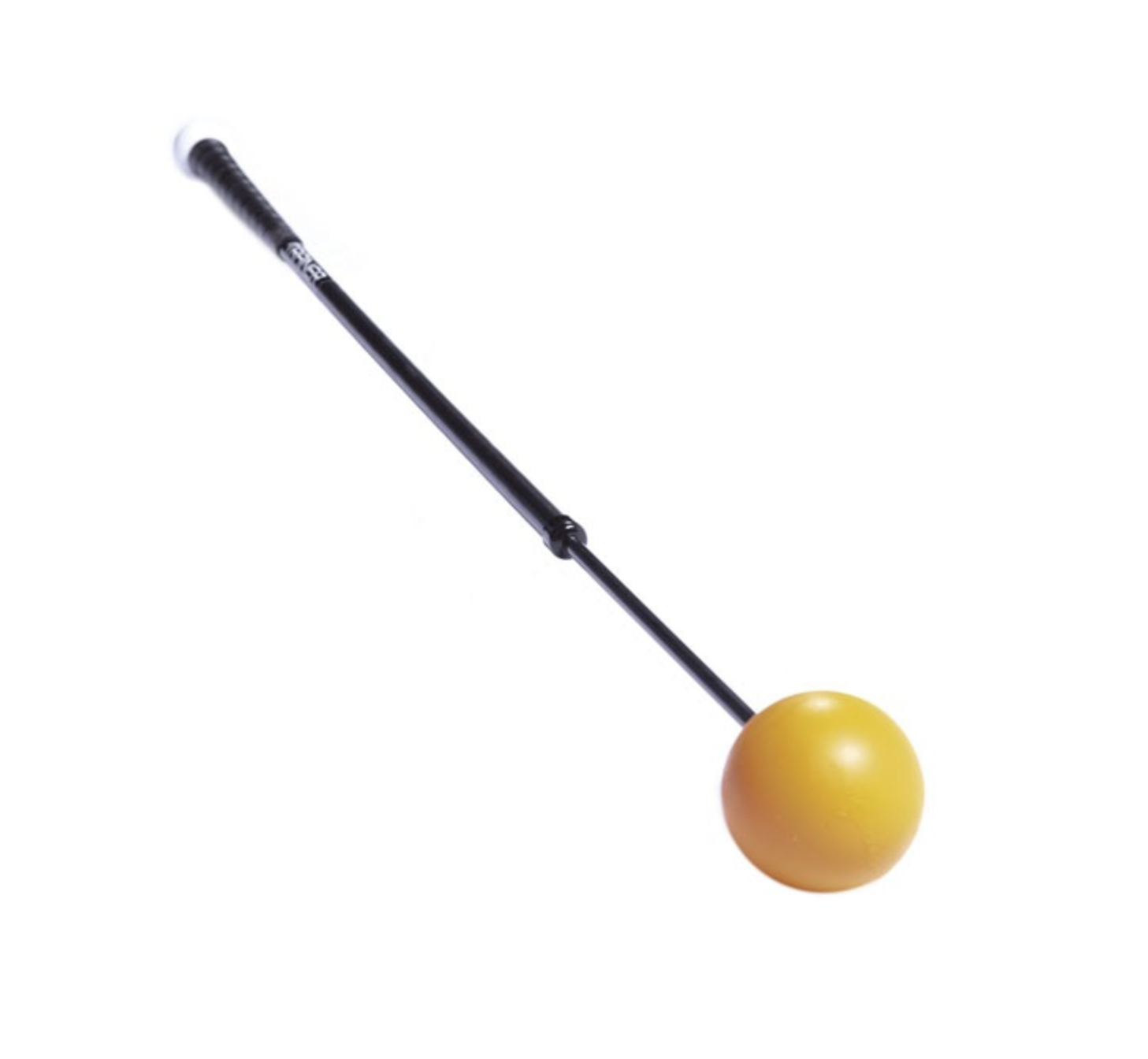 Orange Whip Trainer 