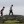 2015 British Open