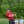 2022 U.S. Amateur