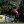 2022 Sanderson Farms Championship