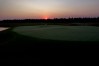 Sand Valley Lido during grow-in