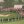 1994 Presidents Cup