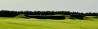 Sand Valley Lido during grow-in