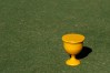 2022 Presidents Cup