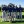 Auburn men's golf