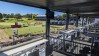 2022 Shriners Children's Open
