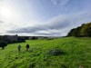 Tom Doak Cabot Highlands Castle Stuart