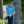 2022 Charles Schwab Cup Championship