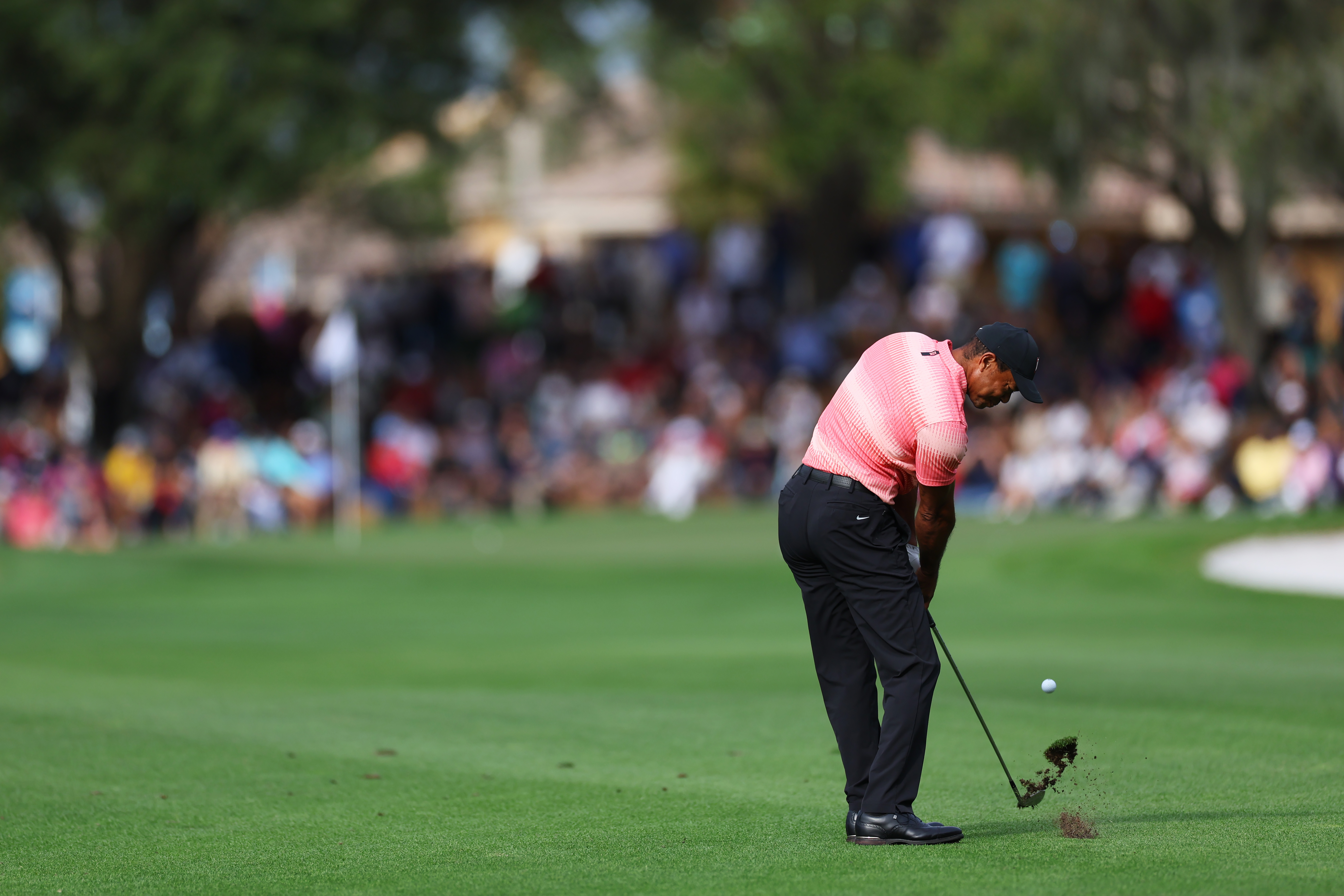 Tiger, Charlie at 2022 PNC Championship