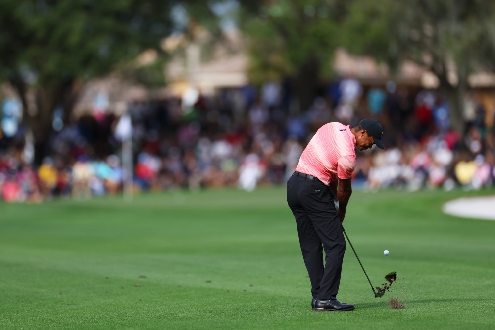 Tiger, Charlie at 2022 PNC Championship