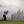 Patrick Reed