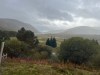 Scotland