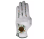 Palm Golf 2022 Golf Glove