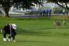 2023 AT&T Pebble Beach Pro-Am