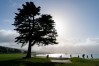 2023 AT&T Pebble Beach Pro-Am