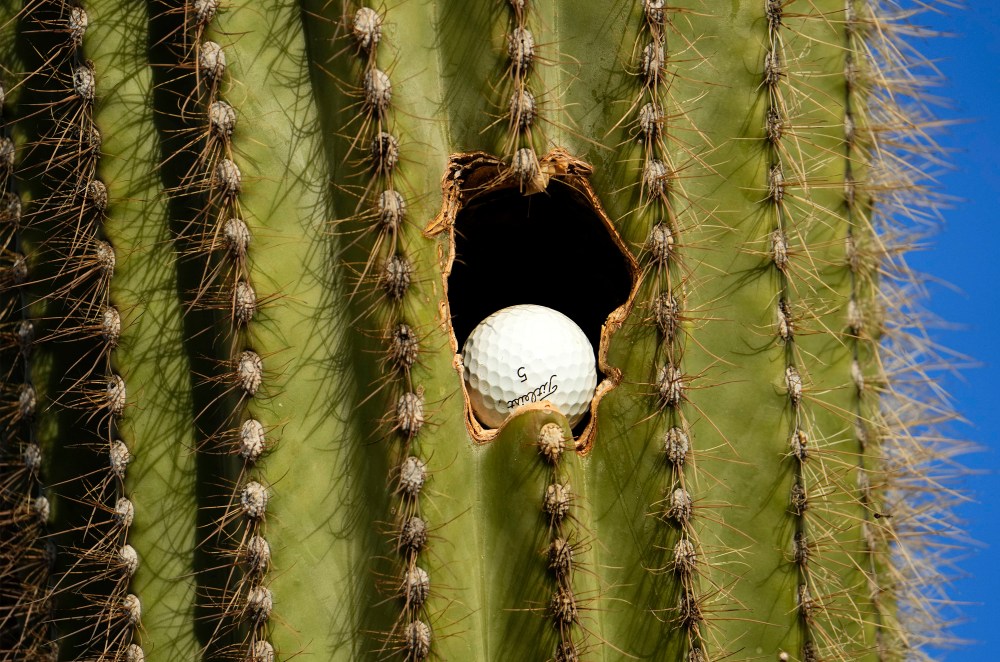 2023 WM Phoenix Open