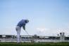 2023 Honda Classic