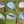 2023 Wedges