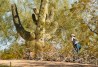 2023 WM Phoenix Open