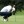 Italian Open - Day One