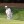 2023 Players Championship