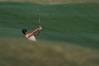 2023 Augusta National Women's Amateur