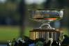 2023 Augusta National Women's Amateur