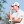 2023 Mexico Open at Vidanta