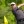 2023 Masters